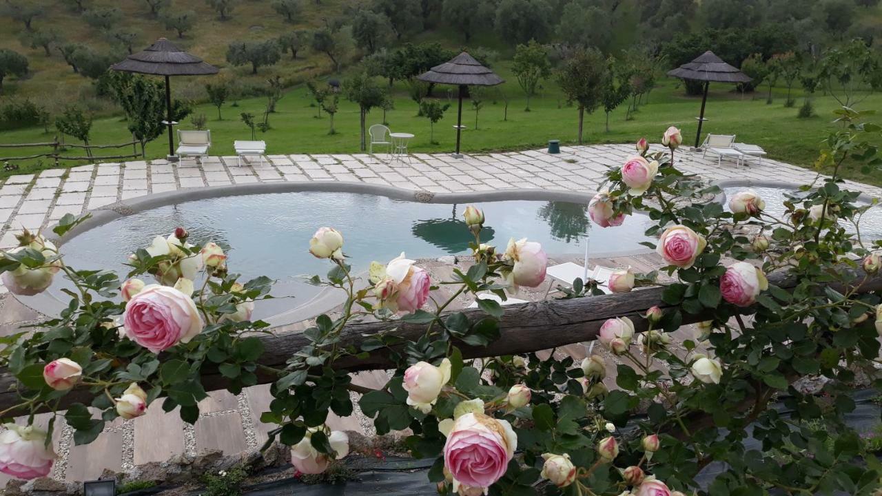 Angolo Di Paradiso فورميلو المظهر الخارجي الصورة